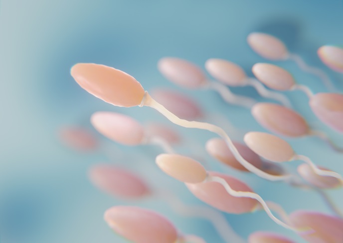 beautiful fertility concept 3d rendering