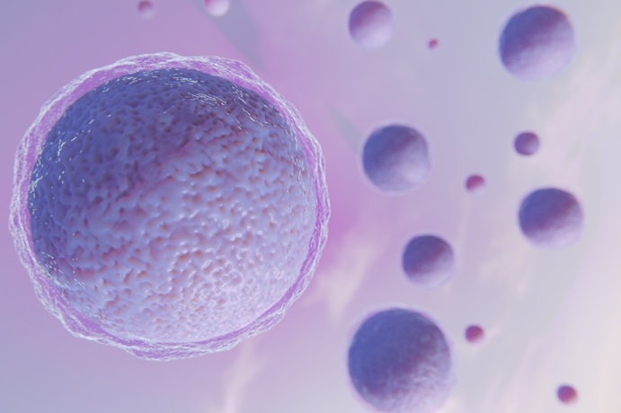 beautiful fertility concept 3d rendering