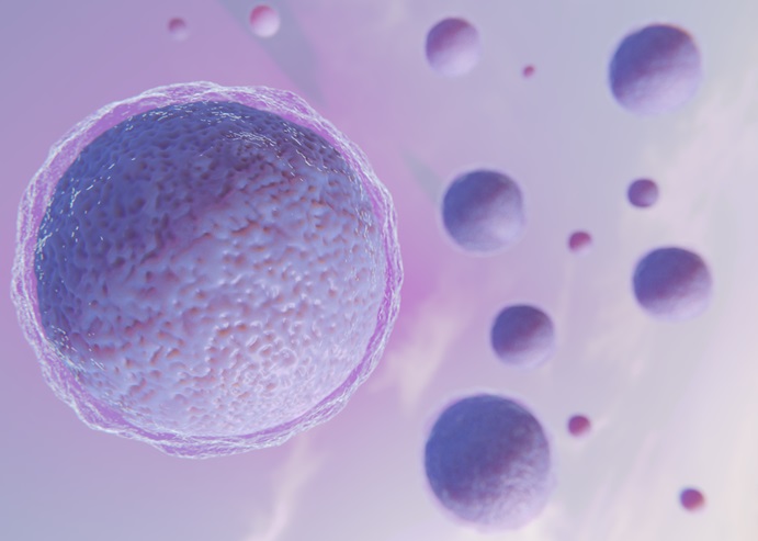 beautiful fertility concept 3d rendering