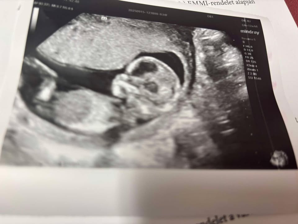 552529245 1774473679894817 5417723131543834066 n