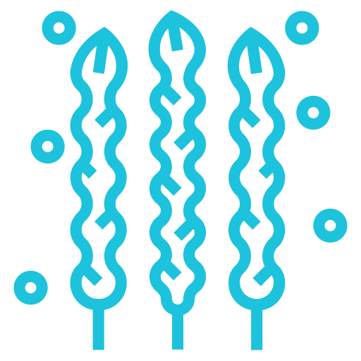 prebiotikus rost microbiom